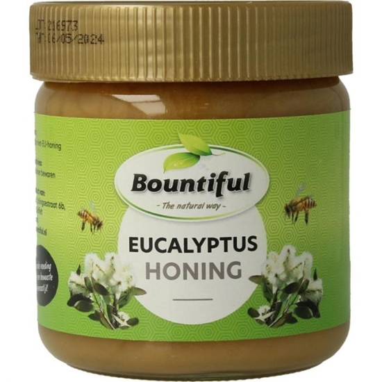 BOUNTIFUL EUCALYPTUS HONING 500GR